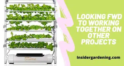 A New Hydroponic Planter Imprints Houseplants with Tessellating Root System