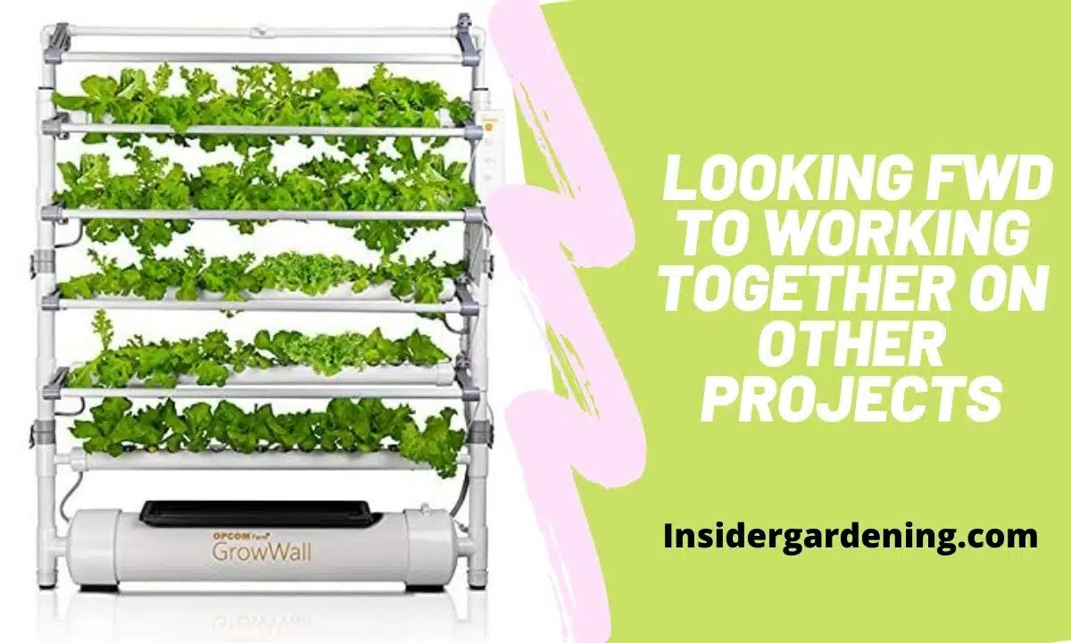 A New Hydroponic Planter Imprints Houseplants with Tessellating Root System