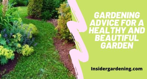 Gardening Advice For A Healthy And Beautiful Garden