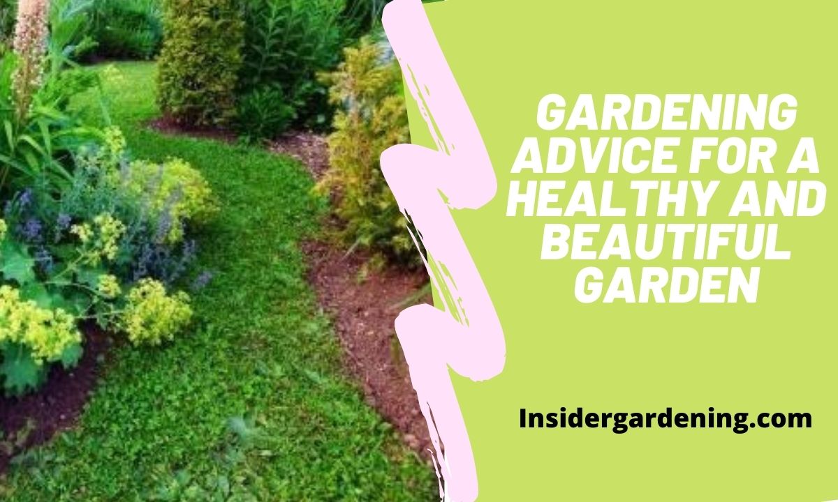 Gardening Advice For A Healthy And Beautiful Garden