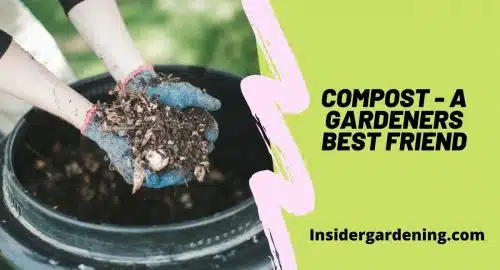 Compost - A Gardeners Best Friend
