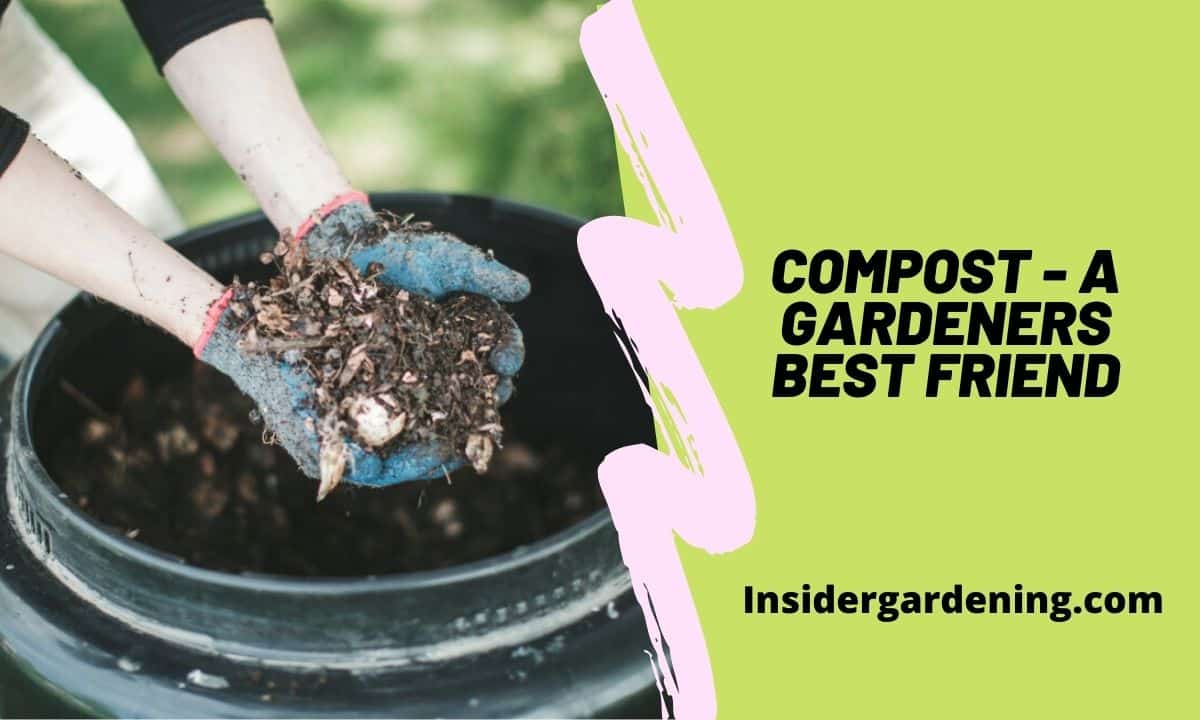 Compost - A Gardeners Best Friend
