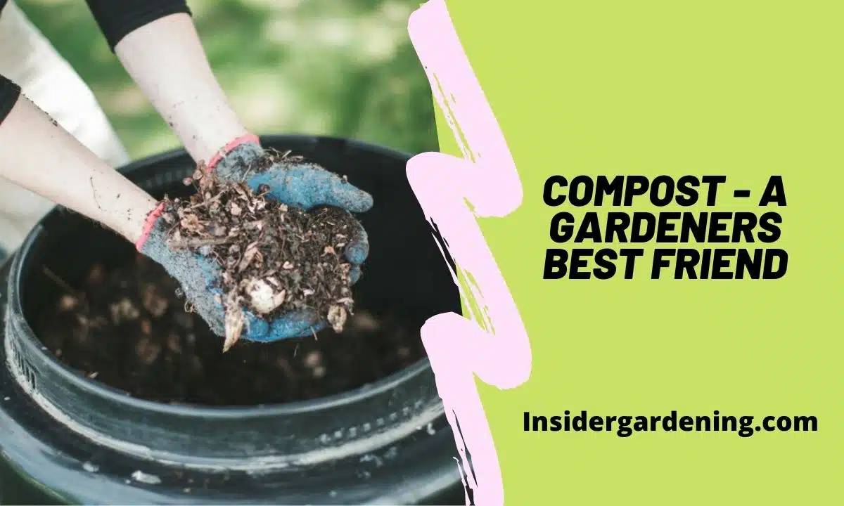 Compost - A Gardeners Best Friend