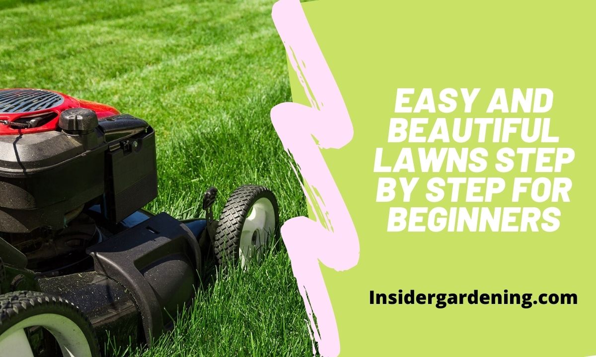 Easy and Beautiful Lawns Step by Step for Beginners