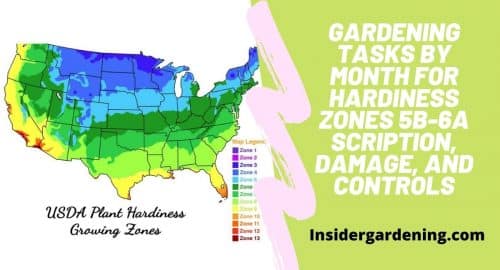 Gardening Tasks by Month for Hardiness Zones 5b-6a