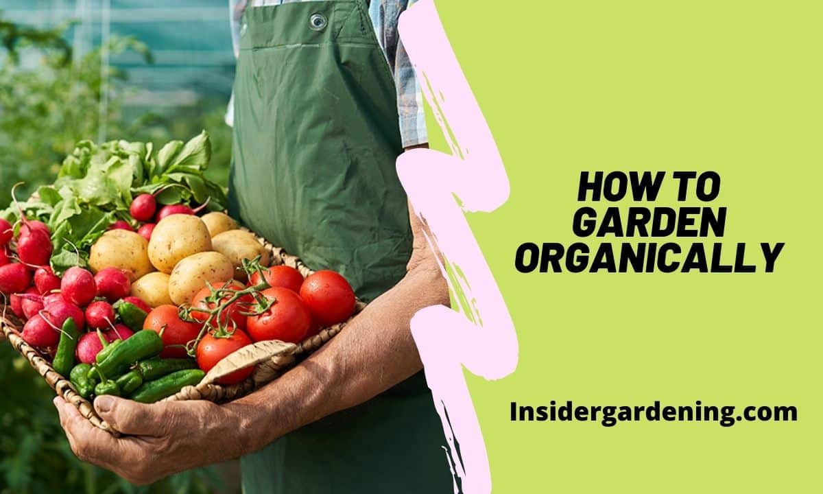 How to Garden Organically
