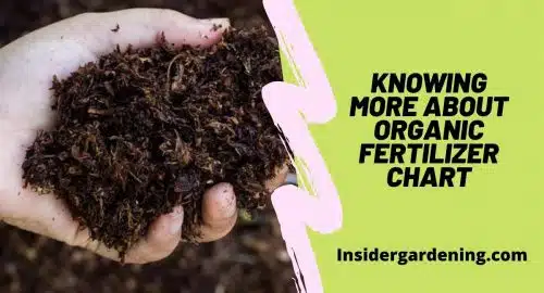 Knowing More About Organic Fertilizer Chart