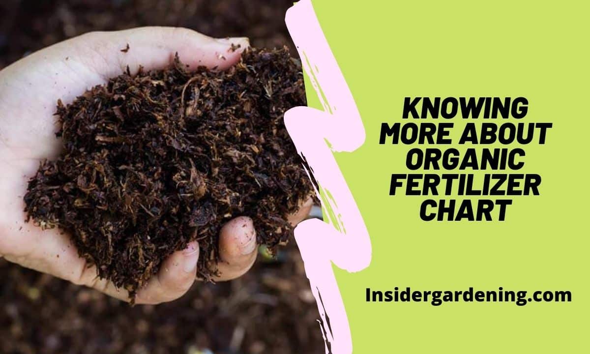 Knowing More About Organic Fertilizer Chart