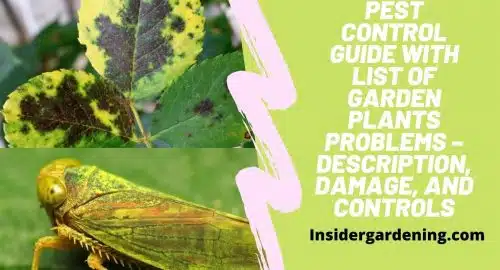 Pest Control Guide with List of Garden Plants Problems – Description, Damage, and Controls