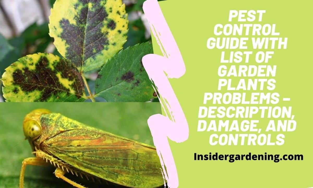 Pest Control Guide with List of Garden Plants Problems – Description, Damage, and Controls