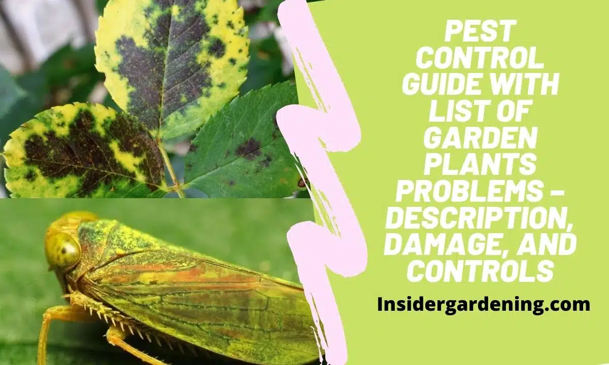 Pest Control Guide with List of Garden Plants Problems – Description, Damage, and Controls Pest Control Guide with List of Garden Plants Problems – Description, Damage, and Controls