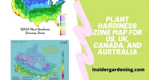 Plant Hardiness Zone Map For US, UK, Canada, and Australia
