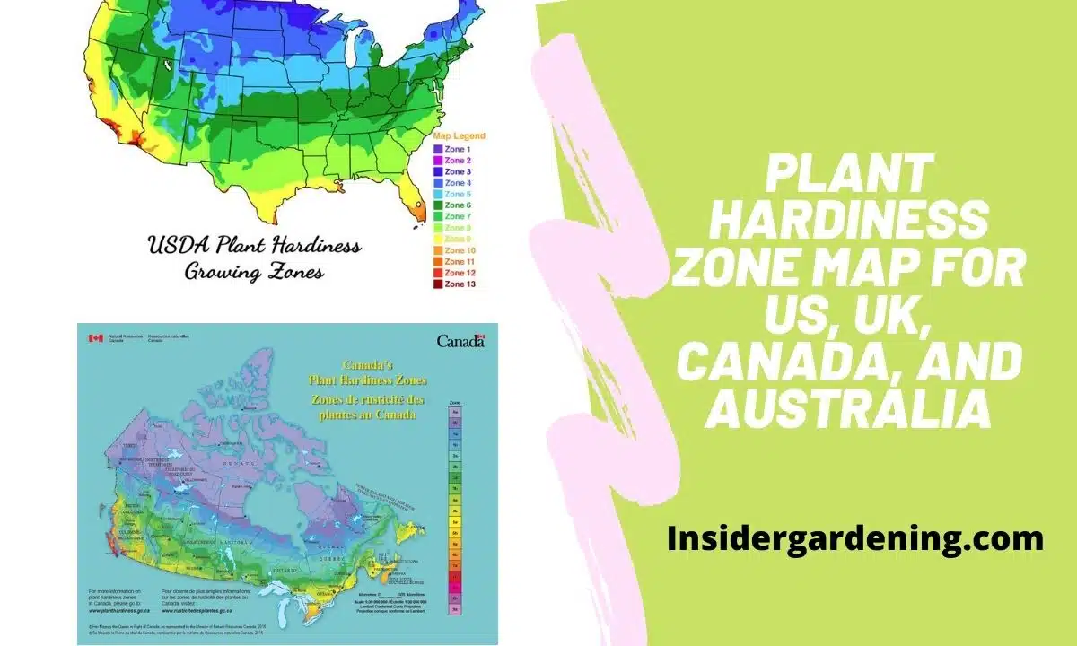 Plant Hardiness Zone Map For US, UK, Canada, and Australia