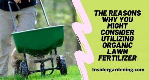 The Reasons Why You Might Consider Utilizing Organic Lawn Fertilizer