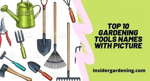 Top 10 Gardening Tools Names with Picture