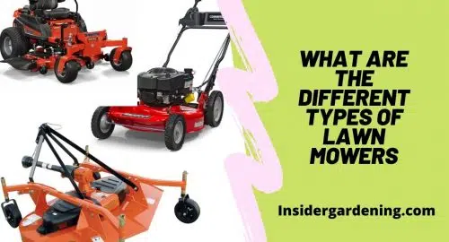 What Are The Different Types of Lawn Mowers