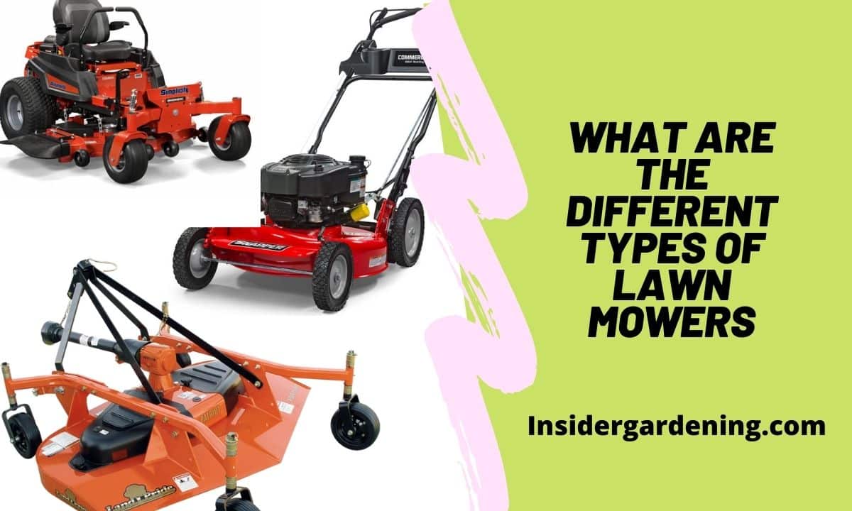 What Are The Different Types of Lawn Mowers