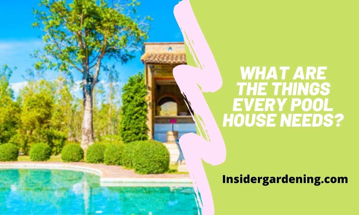 What are the Things Every Pool House Needs