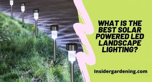 What is The Best Solar Powered Led Landscape Lighting