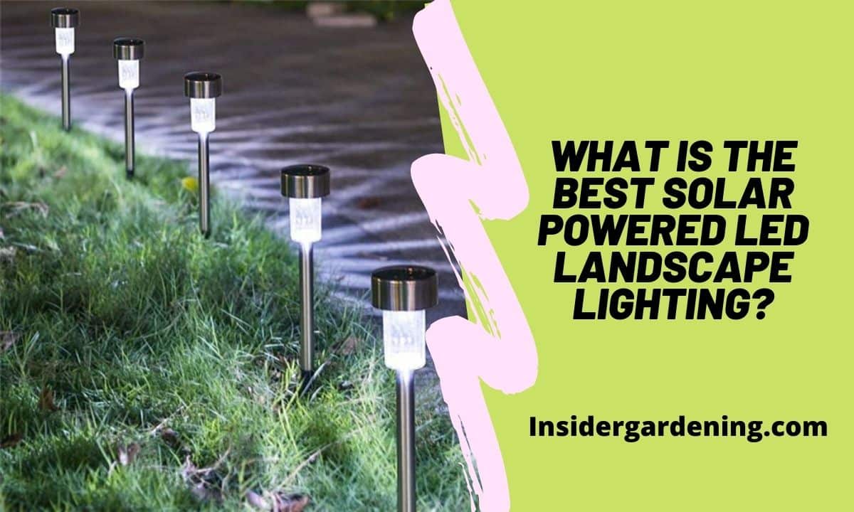 What is The Best Solar Powered Led Landscape Lighting