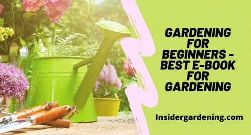 Gardening For Beginners - Best E-book for Gardening