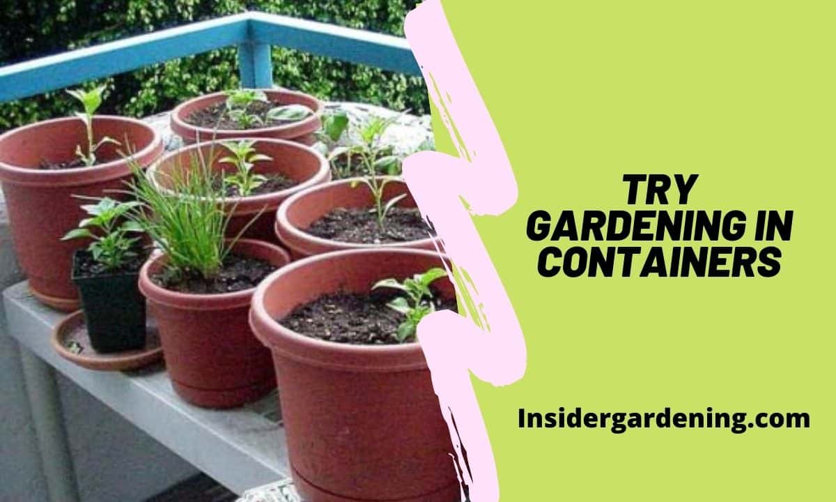 TRY GARDENING IN CONTAINERS