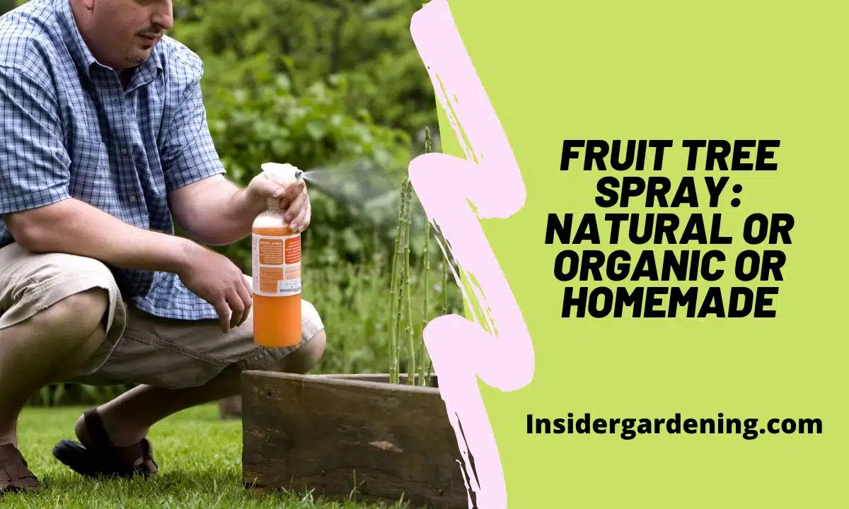Fruit Tree Spray Natural or Organic or Homemade