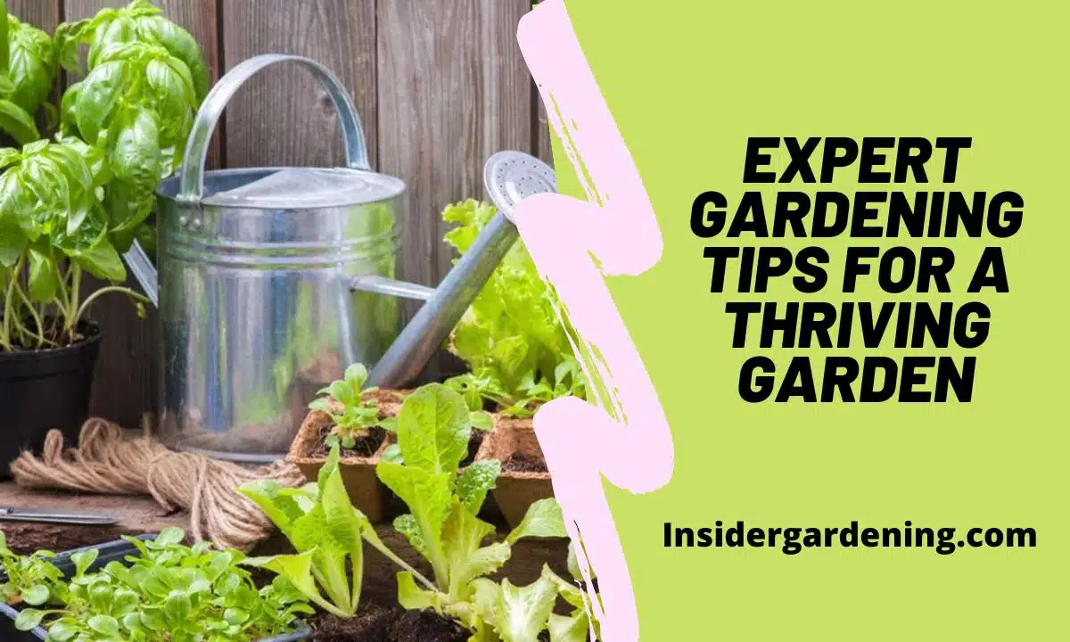 Expert Gardening Tips for a Thriving Garden