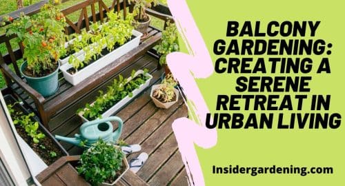 Balcony Gardening Creating a Serene Retreat in Urban Living