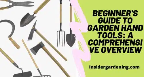 Beginner's Guide to Garden Hand Tools A Comprehensive Overview