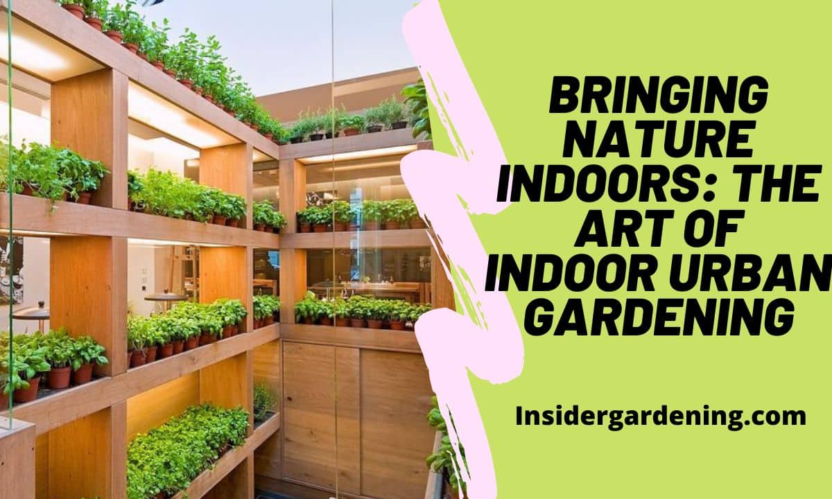 Bringing Nature Indoors The Art of Indoor Urban Gardening