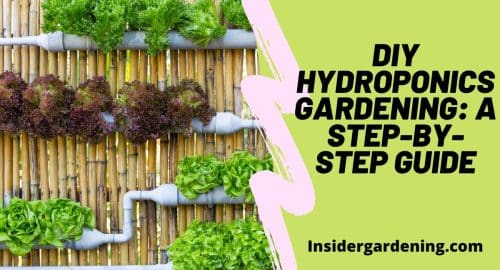 DIY Hydroponics Gardening A Step-by-Step Guide