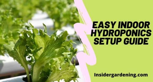 Easy Indoor Hydroponics Setup Guide