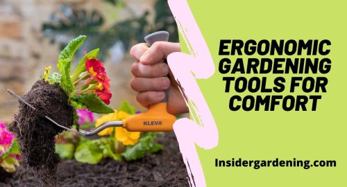 Ergonomic Gardening Tools for Comfort