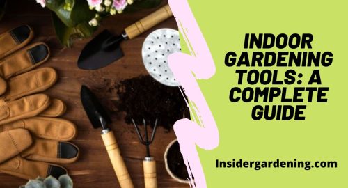 Indoor Gardening Tools A Complete Guide