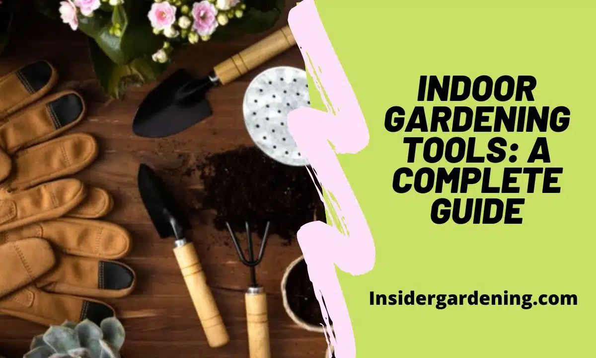 Indoor Gardening Tools A Complete Guide