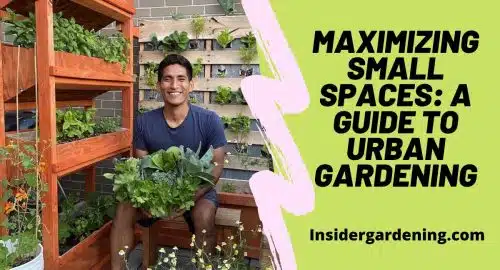 Maximizing Small Spaces A Guide to Urban Gardening