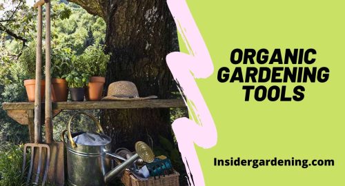 Organic Gardening Tools The Eco Way