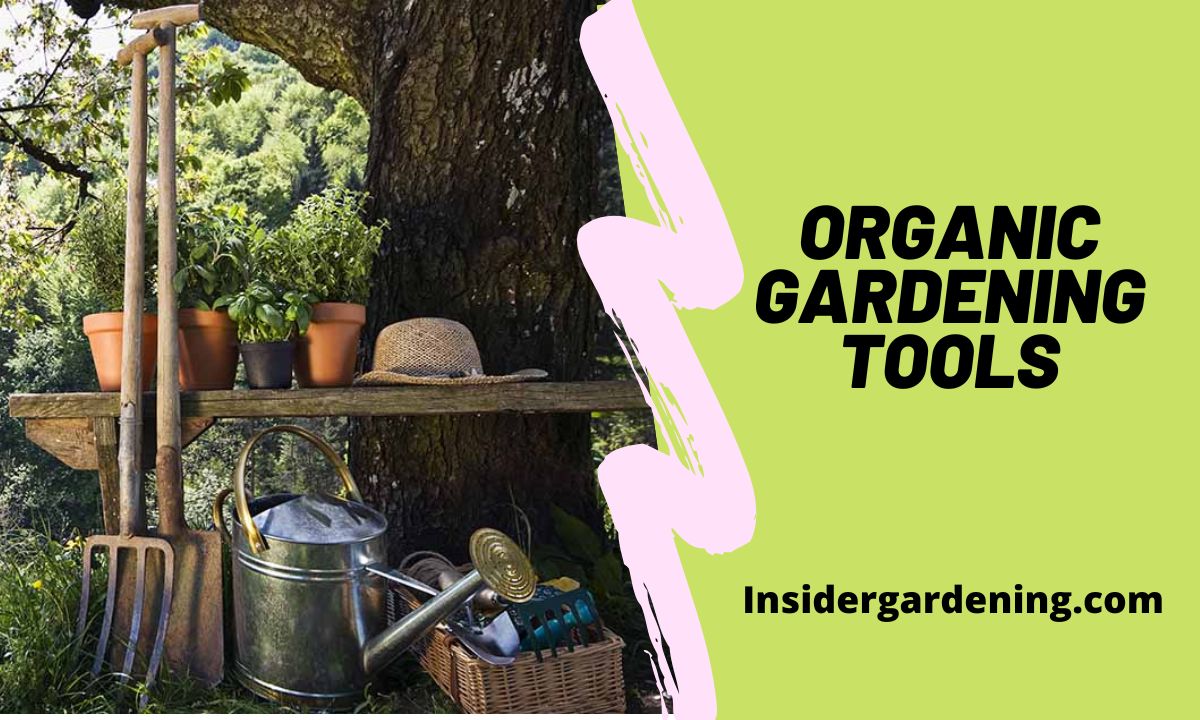 Organic Gardening Tools The Eco Way