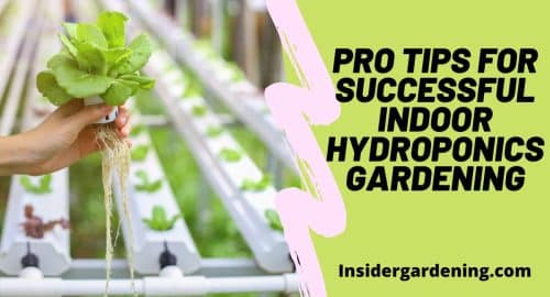 Pro Tips for Successful Indoor Hydroponics Gardening
