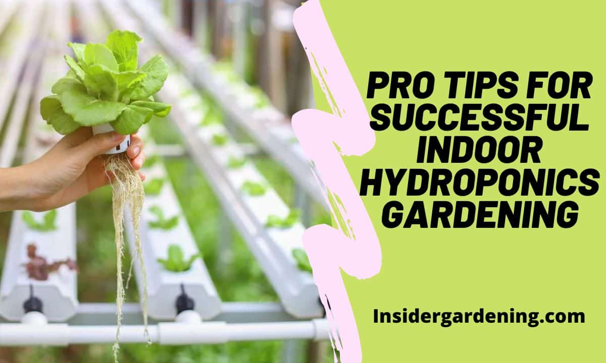 Pro Tips for Successful Indoor Hydroponics Gardening