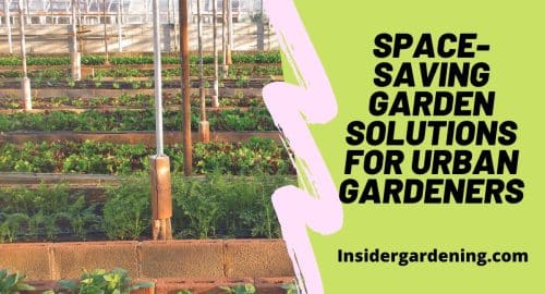 Space-Saving Garden Solutions for Urban Gardeners