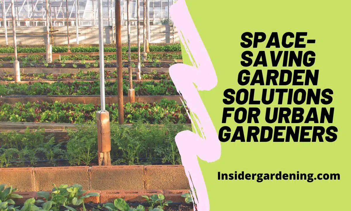 Space-Saving Garden Solutions for Urban Gardeners