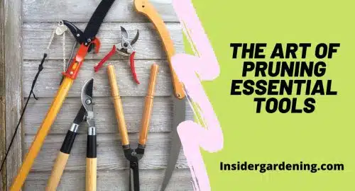 The Art of Pruning Essential Tools