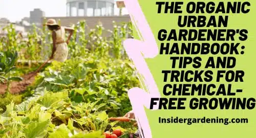 The Organic Urban Gardener's Handbook Tips and Tricks for Chemical-Free Growing