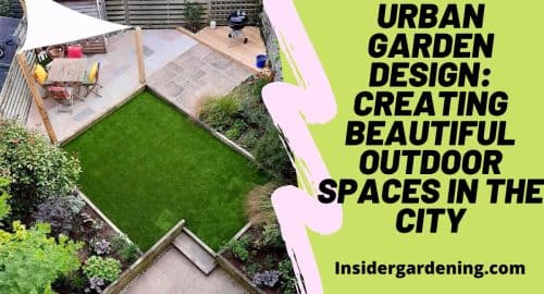 Urban Garden Design Creating Beautiful Outdoor Spaces in the City