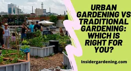 Urban Gardening vs Traditional Gardening Which is Right for You