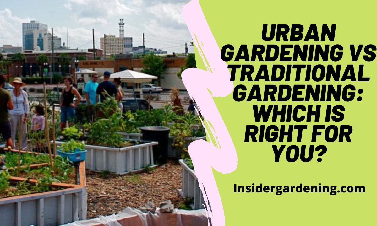 Urban Gardening vs Traditional Gardening Which is Right for You