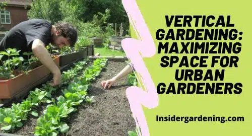 Vertical Gardening Maximizing Space for Urban Gardeners