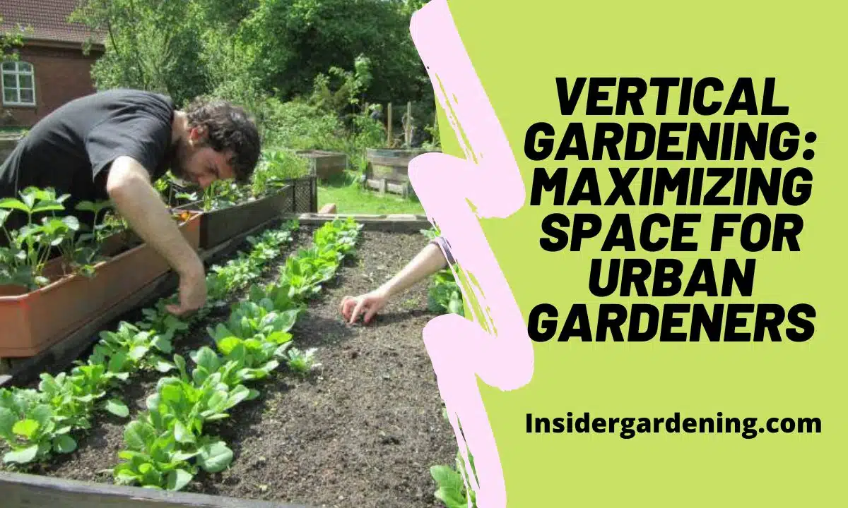 Vertical Gardening Maximizing Space for Urban Gardeners